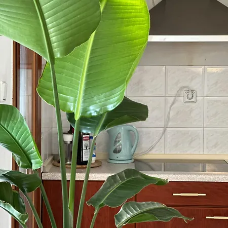 Nice, Spacious And Bright In Thermi, Thessaloniki. Thermi