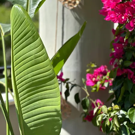 Nice, Spacious And Bright In Thermi, Thessaloniki. Apartment *